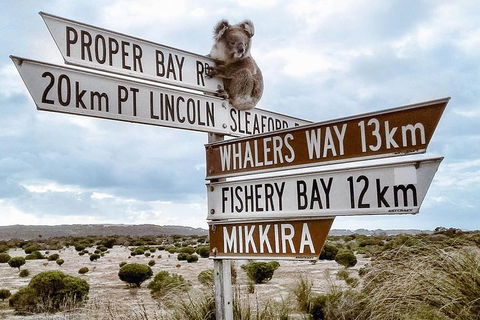One Day Port Lincoln Tour - Tasting Eyre - Holiday Cairns 4