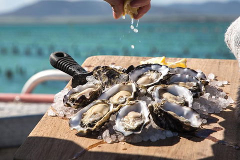 Experience Coffin Bay Short And Sweet Oyster Farm Tour - Holiday Cairns 0