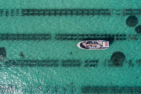 Experience Coffin Bay Short And Sweet Oyster Farm Tour - Holiday Cairns 1