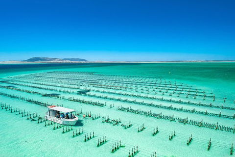 Experience Coffin Bay Short And Sweet Oyster Farm Tour - Holiday Cairns 5
