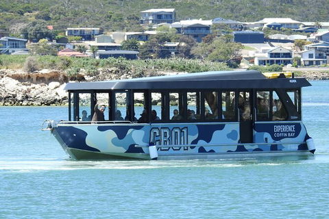 Experience Coffin Bay Short And Sweet Oyster Farm Tour - Holiday Cairns 9