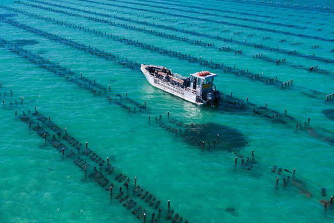 Experience Coffin Bay Short And Sweet Oyster Farm Tour - Holiday Cairns 7