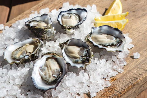 Experience Coffin Bay Short And Sweet Oyster Farm Tour - Holiday Cairns 3