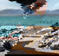 Experience Coffin Bay Oyster Farm and Bay Tour - Holiday Cairns