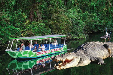 Daintree River Cruise - Holiday Cairns 7