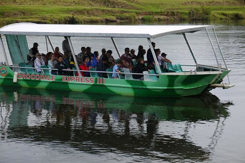 Daintree River Cruise - Holiday Cairns 2
