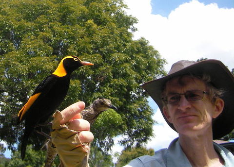 O'Reilly's Lamington National Park And Treetop Canopy Tour - Holiday Cairns 4