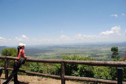 O'Reilly's Lamington National Park And Treetop Canopy Tour - Holiday Cairns 6