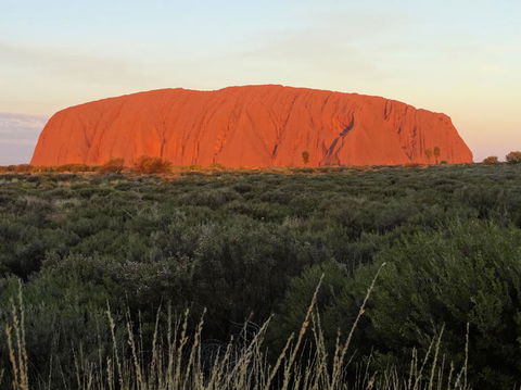 Uluru (Ayers Rock) Sunset With Outback Barbecue Dinner And Star Tour - Holiday Cairns 5