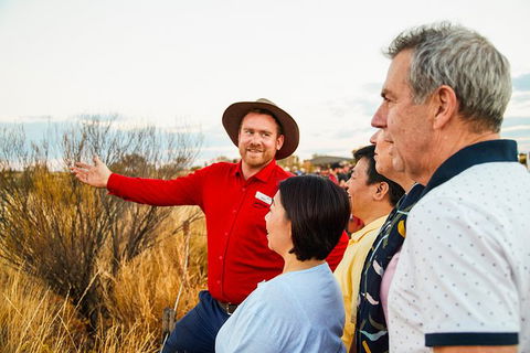 Uluru (Ayers Rock) Sunset With Outback Barbecue Dinner And Star Tour - Holiday Cairns 22
