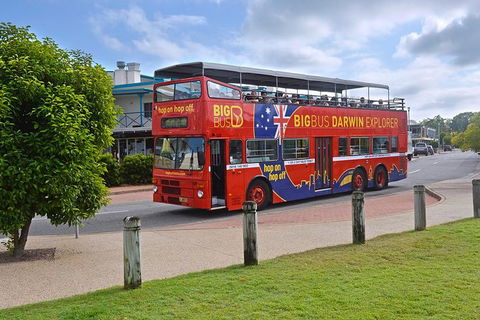 Darwin Shore Excursion: Hop-on Hop-off Bus Tour - Holiday Cairns 0
