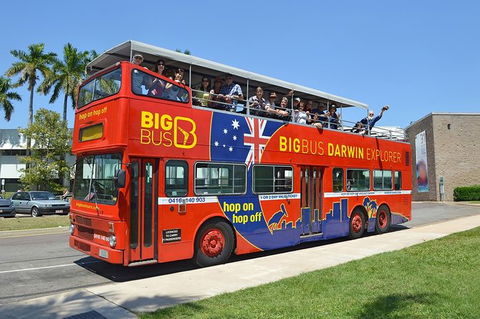 Darwin Shore Excursion: Hop-on Hop-off Bus Tour - Holiday Cairns 12