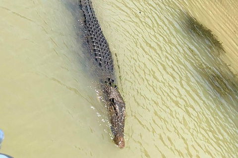 Kakadu National Park Scenic Flight & Cruise - Holiday Cairns 11