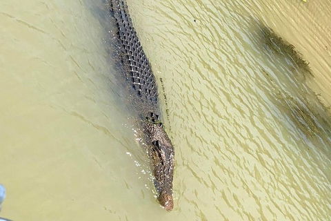 Kakadu & Katherine Gorge Full Day Air Tour, Helicopter & Cruise - Holiday Cairns 6
