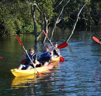 Kayak and SUP Guided Tours - Holiday Cairns