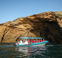 Hunter Coastal Adventure Tour by Boat from Newcastle - Holiday Cairns