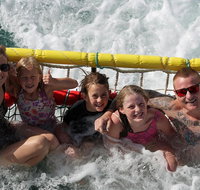 Jervis Bay Boom Netting and Dolphins Tour - Holiday Cairns