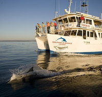 Jervis Bay Dolphin Watch Cruise - Holiday Cairns