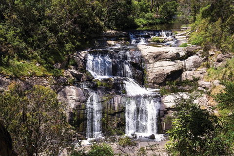 Agnes Falls Scenic Reserve - Holiday Cairns 0
