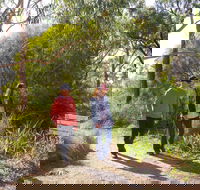 Arthurs Seat Circuit Walk - Holiday Cairns