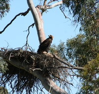 Castle Creek Reserve - Holiday Cairns