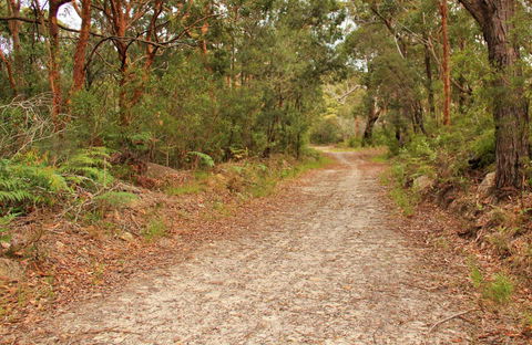 Daleys Point Walking Track - Holiday Cairns 0
