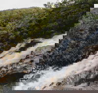 Davies Creek National Park and Dinden National Park - Holiday Cairns