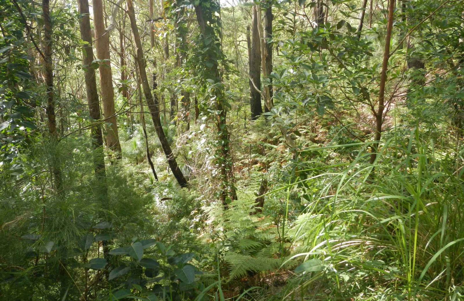 Arakoon NSW Holiday Cairns