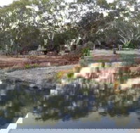 Green Corridor Walking Track - Holiday Cairns