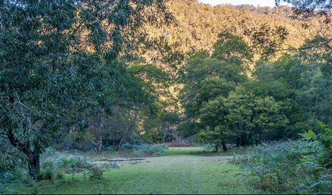 Griffins Walking Track - Holiday Cairns 0