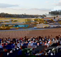 Ipswich Motorsport Precinct - Holiday Cairns