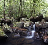 Kangaroo River - Holiday Cairns