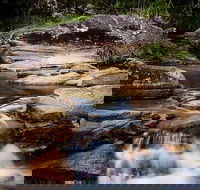 Mothar Mountain Rockpools - Holiday Cairns