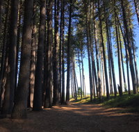 Mountain Bike Trails Tumbarumba - Holiday Cairns