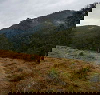 Nowendoc National Park - Holiday Cairns