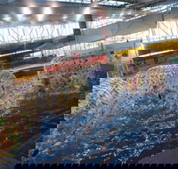 Oasis Regional Aquatic Centre - Holiday Cairns