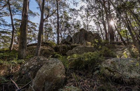 Pheasants Peak Walking Track - Holiday Cairns 0