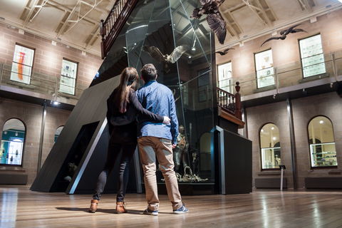 Tasmanian Museum And Art Gallery - Holiday Cairns 1