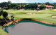 The Vines Resort And Country Club - thumb 0