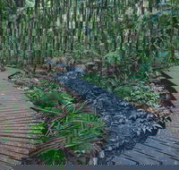 The Channon Protesters Falls Nimbin and Mount Nardi - Holiday Cairns