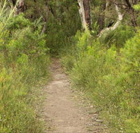 Three Views walking track - Holiday Cairns