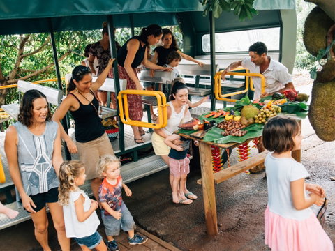 Tropical Fruit World - Holiday Cairns 2