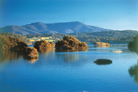 Wagonga Picnic Area - Holiday Cairns 0