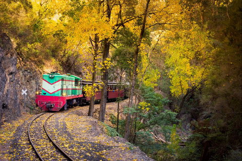 Walhalla Goldfields Railway - Holiday Cairns 2