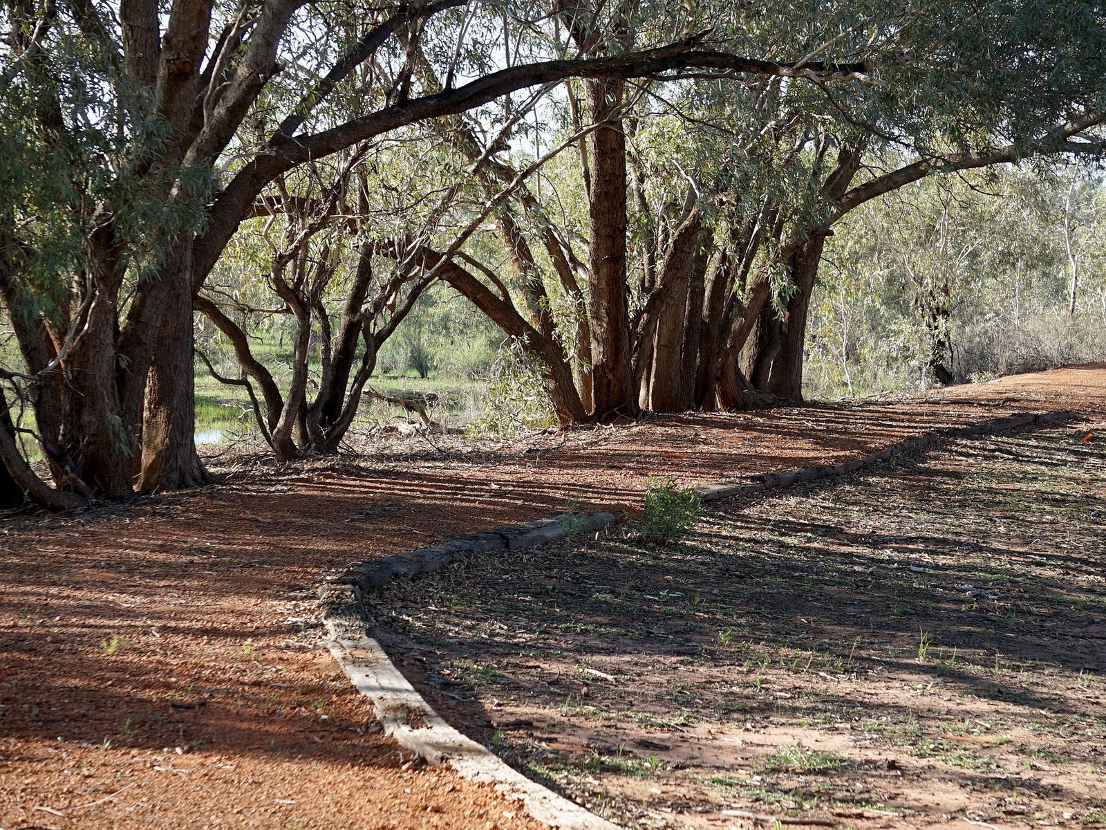 Louth NSW Holiday Cairns