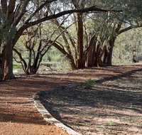 Warrego Floodplain walking track - Holiday Cairns
