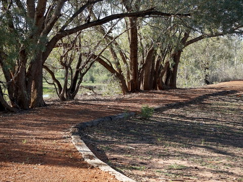 Warrego Floodplain Walking Track - Holiday Cairns 0