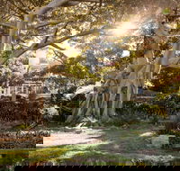 Wendy Whiteley's Secret Garden - Holiday Cairns