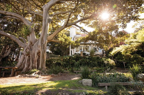 Wendy Whiteley's Secret Garden - Holiday Cairns 0