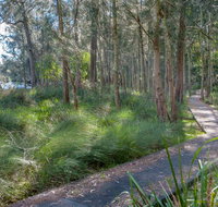 Anabranch Loop Track